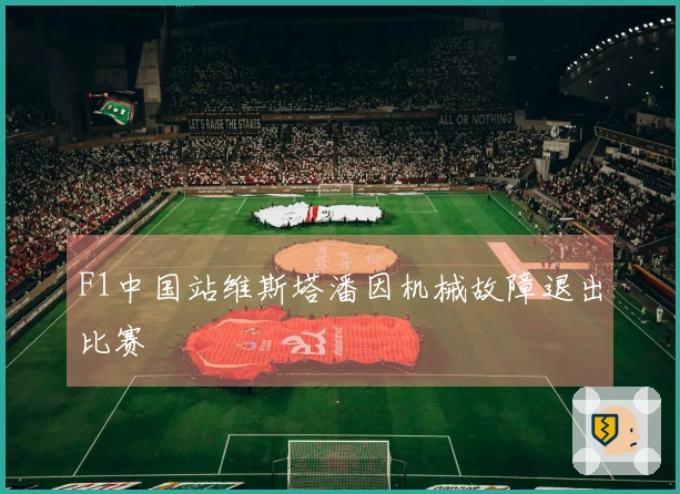 F1中国站维斯塔潘因机械故障退出比赛