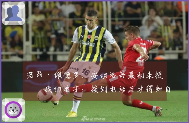 若昂·佩德罗：安切洛蒂最初未提及我的名字，接到电话后才得知自己被选中