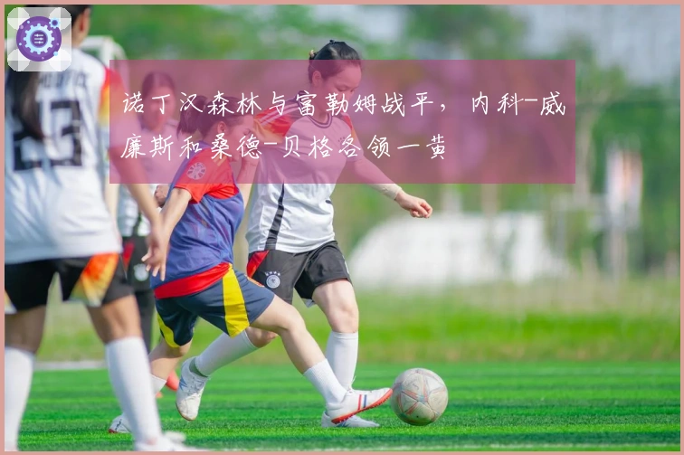 诺丁汉森林与富勒姆战平，内科-威廉斯和桑德-贝格各领一黄