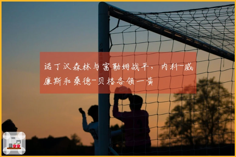 诺丁汉森林与富勒姆战平，内科-威廉斯和桑德-贝格各领一黄